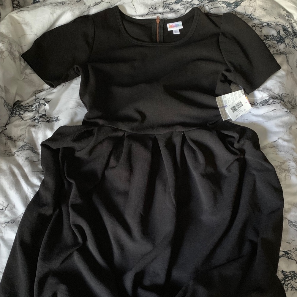Bnwt lularoe Amelia Large